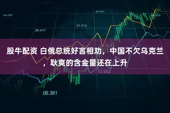 股牛配资 白俄总统好言相劝，中国不欠乌克兰，耿爽的含金量还在上升