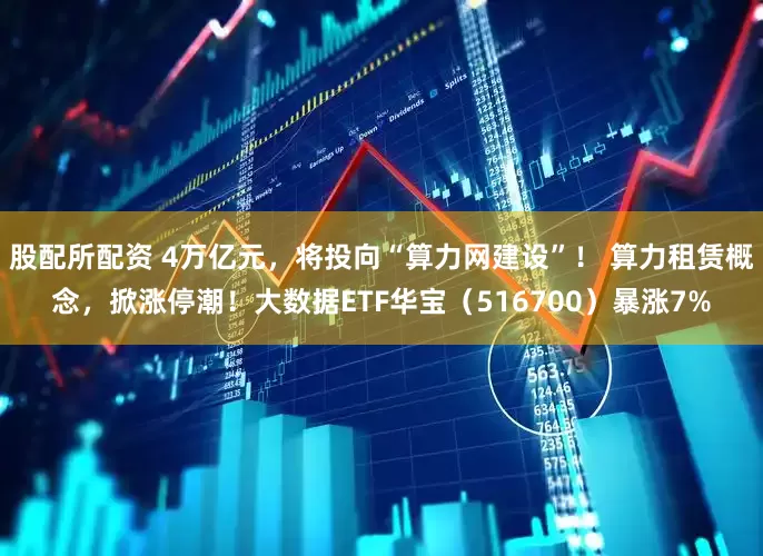 股配所配资 4万亿元，将投向“算力网建设”！ 算力租赁概念，掀涨停潮！大数据ETF华宝（516700）暴涨7%